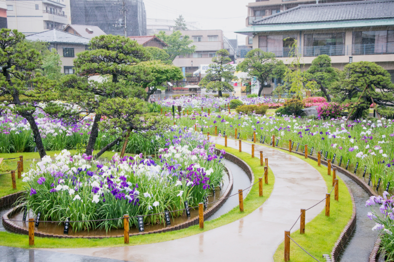 京成線