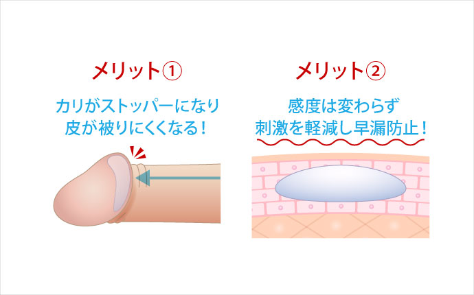 カリ高】ペニス亀頭特化チントレ４選【図解・動画解説】 | セクテクサイト