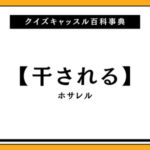 メンブレの意味とは？死語でもう古い！？正しい使い方・例文を簡単に解説！ | 意味lab