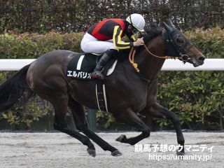 日本の精鋭２頭、重い扉を開け 凱旋門賞（2/2ページ） -