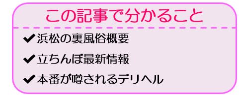 浜松の裏情報！立ちんぼの相場は？フェラ1万本番2万は妥当か！【2024年最新】 | Onenight-Story[ワンナイトストーリー]