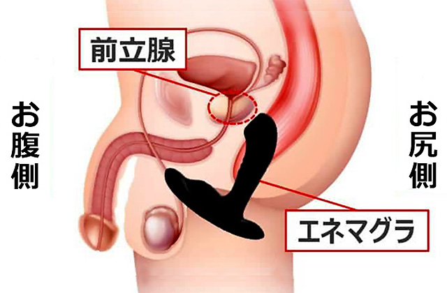 楽天市場】前立腺マッサージ 方法の通販