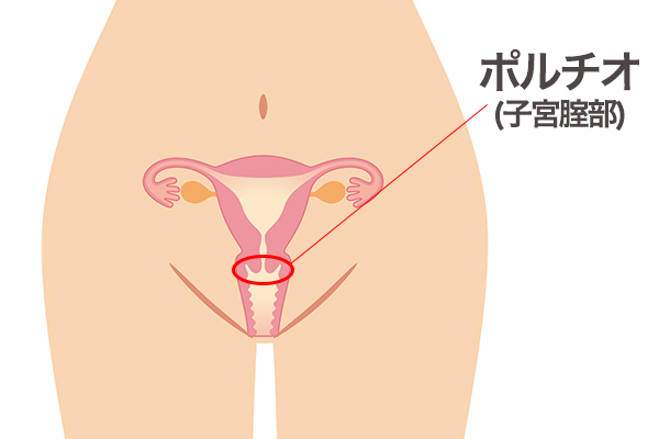 好きな体位は？ 興味があるプレイは？ 500人のHow