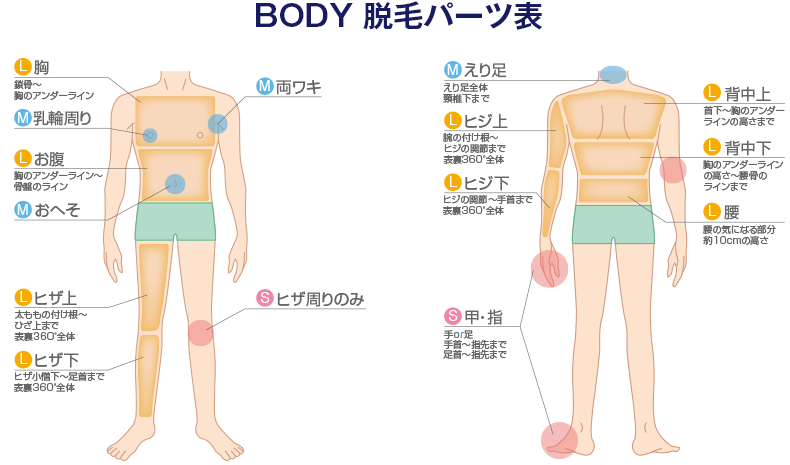 玉・竿・VIO脱毛+下半身＆鼠径ハンド高周波トリートメント ￥62,000 -