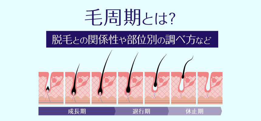 ☆髪を抜き続けるとこうなる-2｜中川英博