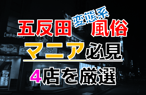 五反田ホテヘル｜本番NN/NS店を全調査！地元民おすすめはココ – 満喫！デリライフ