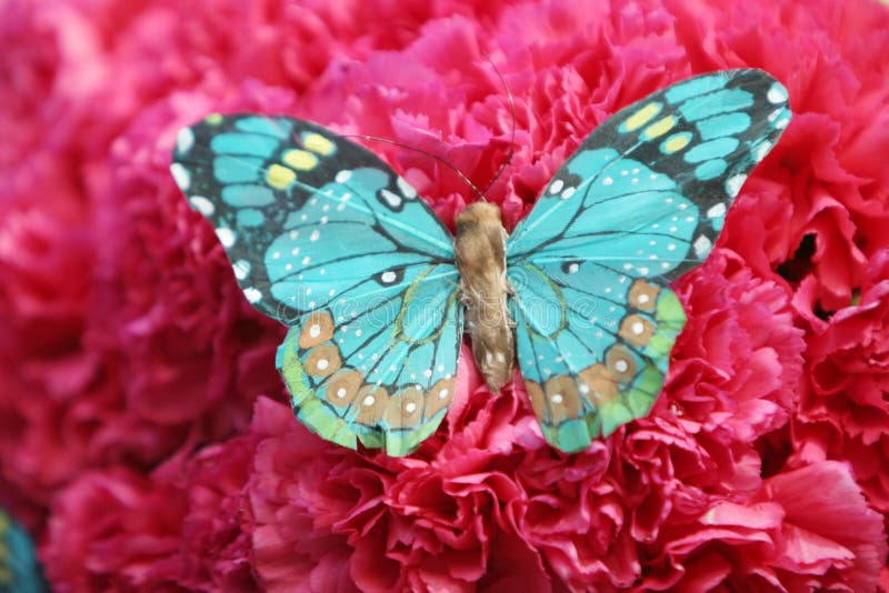 Beautiful butterfly in nature |