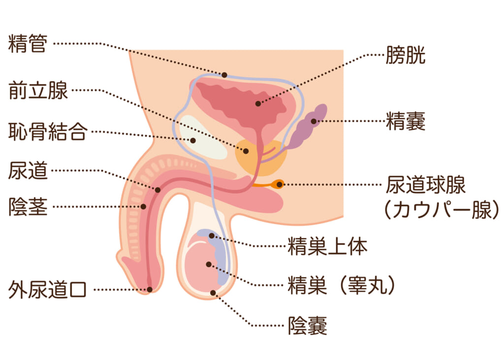 【タイ・バンコク】疲れたキンタマを癒すキンタマの聖地！ここが噂のキンタマッサージ！