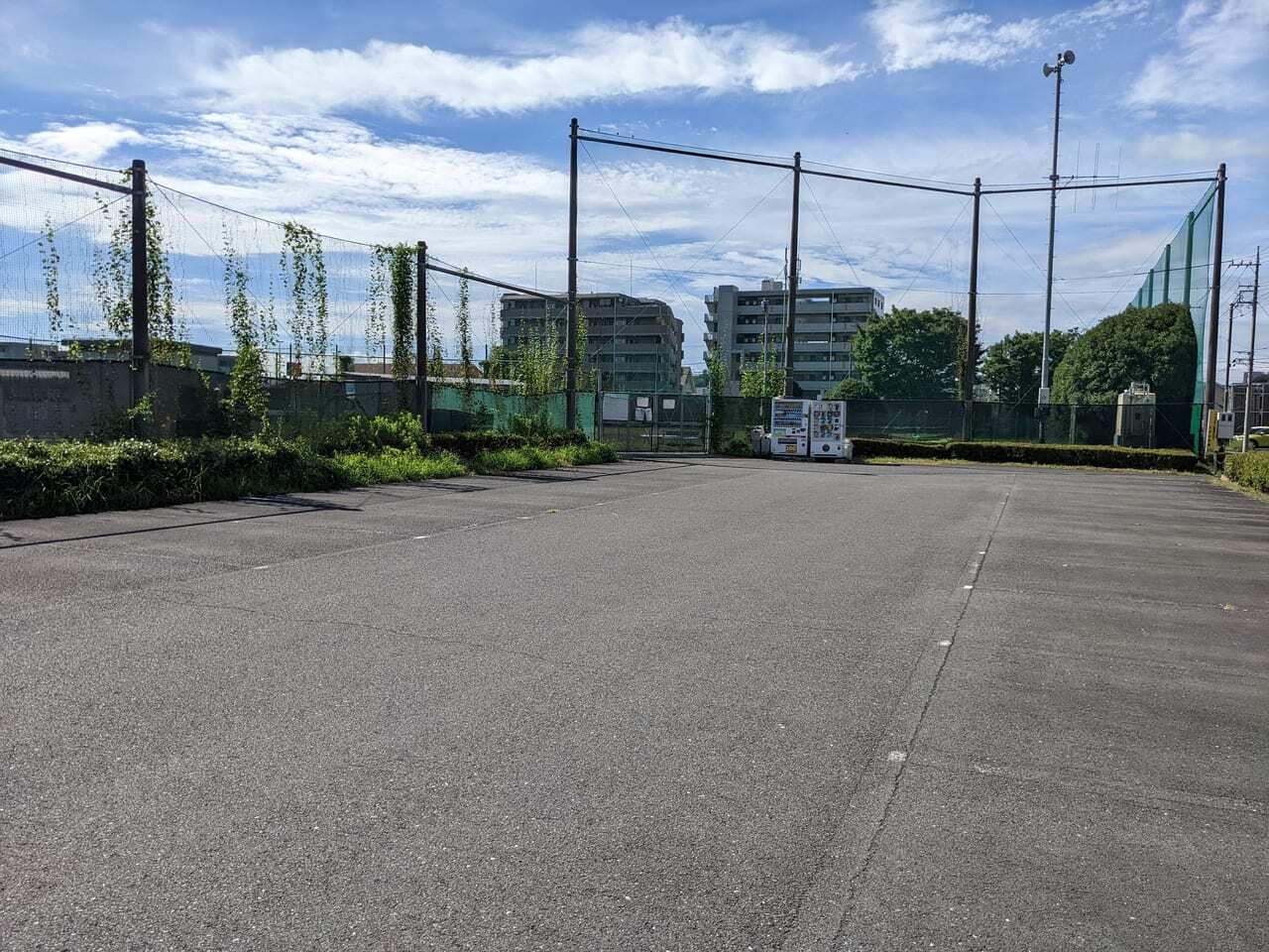 万願寺中央公園グラウンドの草刈り＆周辺街路の清掃作業を行いました！ | 日野市少年軟式野球連盟