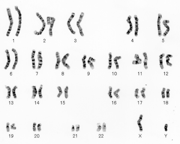 精子って本当に苦いんですか？ | Peing