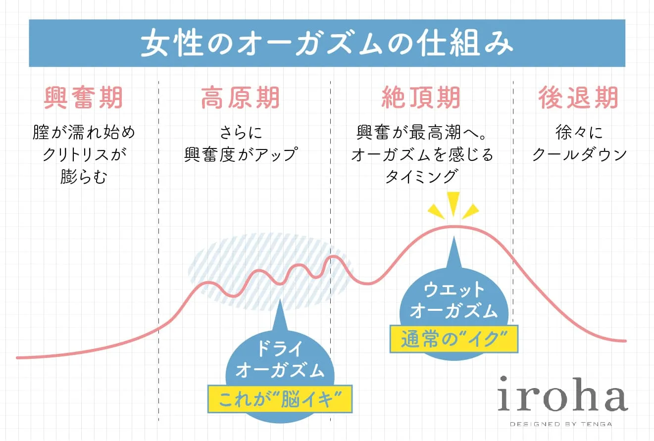 女性がセックスでイク方法を「その道のプロ」に聞いてみた【保存版】－AM