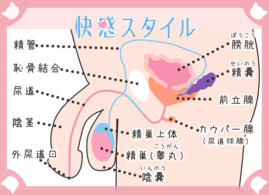 アナルプレイ前にやっておきたいお尻マナー 直腸洗浄 |