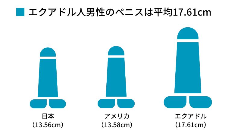 日本人ペニスの平均サイズと世界評価・女性が性交SEXに満足するちんこの大きさは？