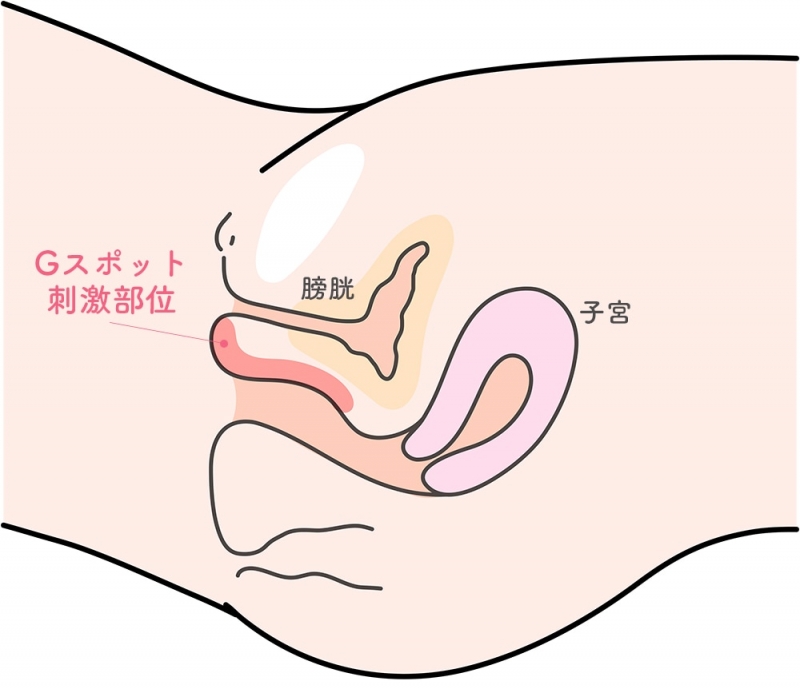 中イキ（膣イキ）のやり方とは？ Gスポット開発のコツを詳しく解説 |