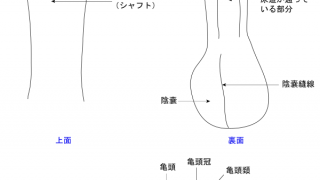 無 修正 綺麗 : イケメン