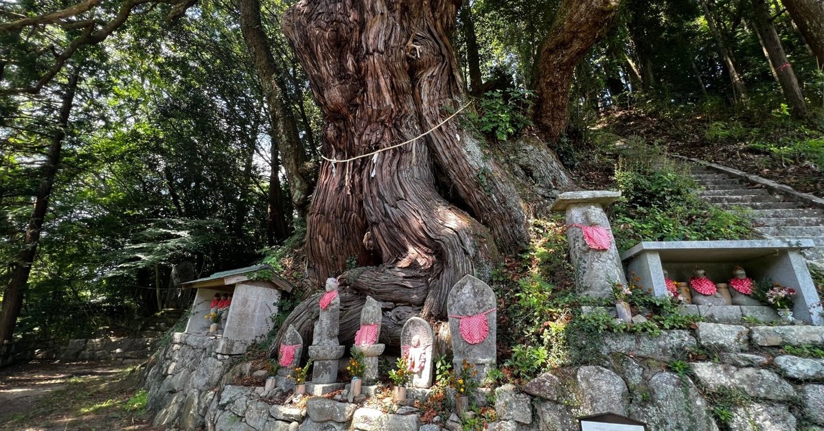 豊田市自然観察の森 – 豊田市自然観察の森