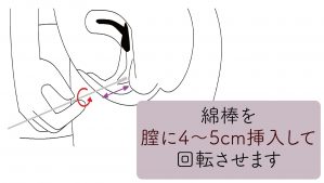 フェラ好き女性がフェラしたくなる男性の特徴を解説！｜風じゃマガジン