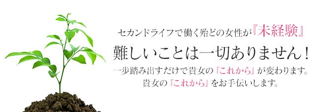 セカンドライフ - 黒川・大曽根・矢田/ヘルス｜シティヘブンネット