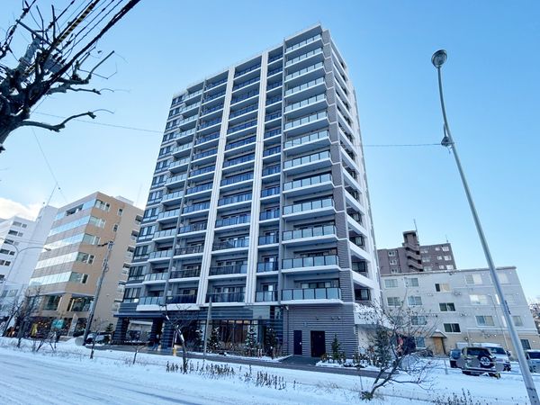 ライオンズマンション平岸通ビル(札幌市豊平区平岸三条)のビル情報【オフィスナビ®】