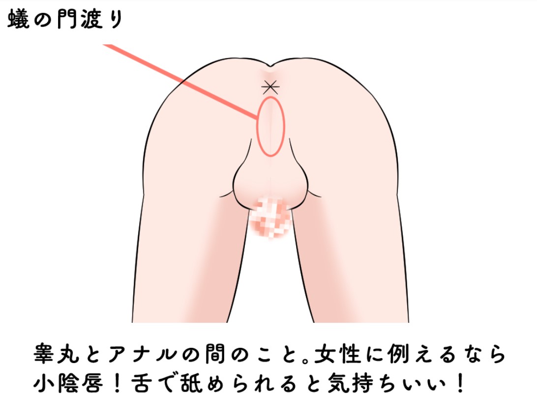 アナルを舐められているAV女優まとめ - 有料アダルトサイト比較＆まとめ2024年版