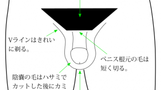 カリ｜大人のおもちゃ用語辞典