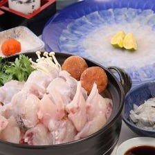 泳ぎとらふぐ料理専門店「とらふぐ亭」北千住店のおしながき(ランチ)|公式サイト