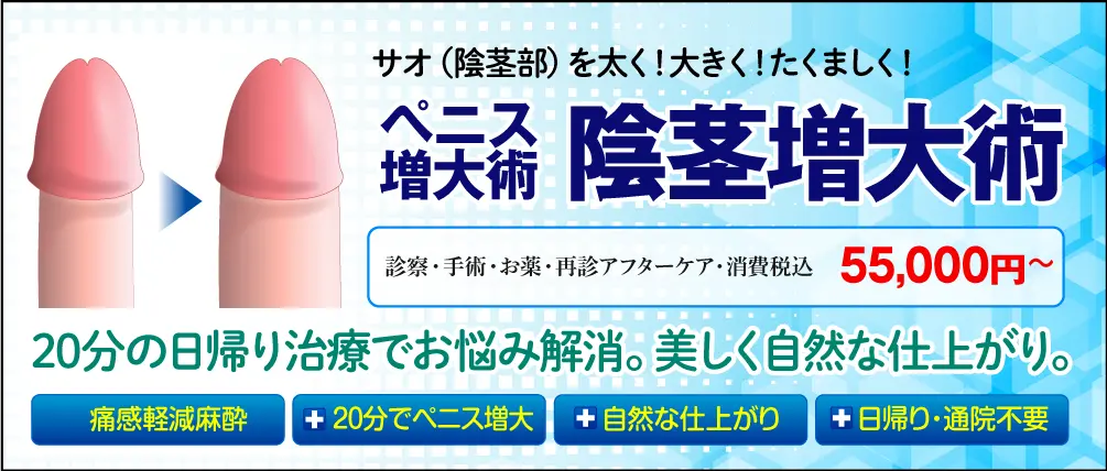 2024年最新】Yahoo!オークション -18cm(グッズ)の中古品・新品・未使用品一覧