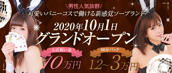 A6-001 国産化粧品！JAPONISM  LOTIONブルガリアダマスクローズ(200ml)シリカをたっぷり含んだ霧島の天然水を100％使用した化粧水【ヴィーナスターオーガニクス】 |