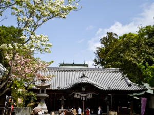 花みずき【高松市】の料金と空き状況-ケアハウス｜安心介護紹介センター(旧かいごDB)