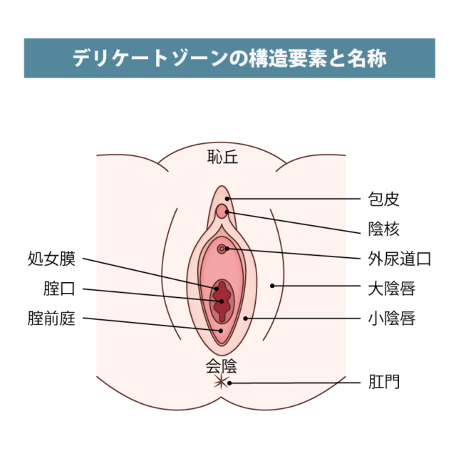 日本人の平均ペニスサイズ（通常時と勃起時）は○○cm！ – メンズ形成外科