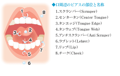 鼻ピアス - 東京 渋谷 美容皮膚科