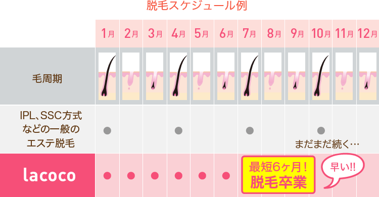 医療脱毛とエステ脱毛って何が違うの？ - 共立美容外科【公式コラム】｜美容整形、美容医療専門クリニック