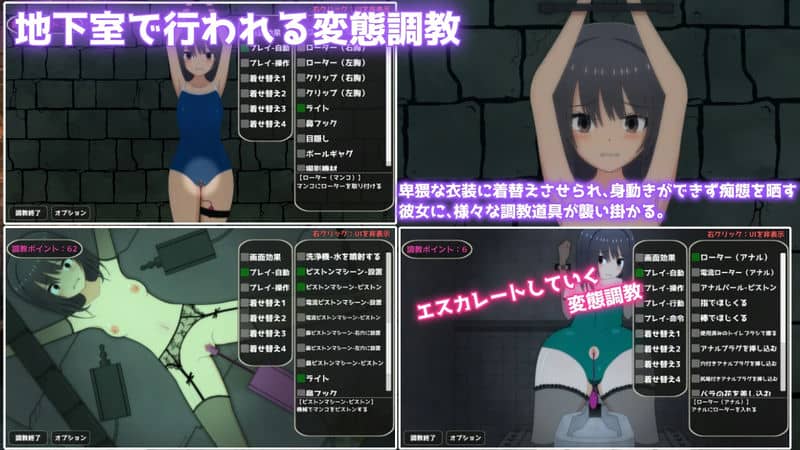 とある熟女の変態調教 | アパタイト