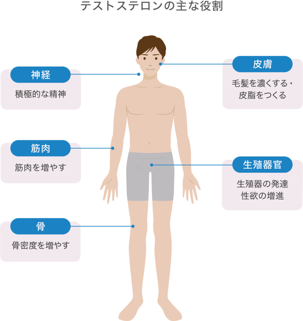 バドミントン漬けの生活で不思議な性欲をぷろたんに教えてもらった#筋トレ女子#ぷろたん#身長差#バドミントン