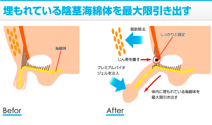 13歳までの男の子に教えておきたい「性器の正しい取り扱い方」|のびのび子育て応援サイト【nobico/のびこ】