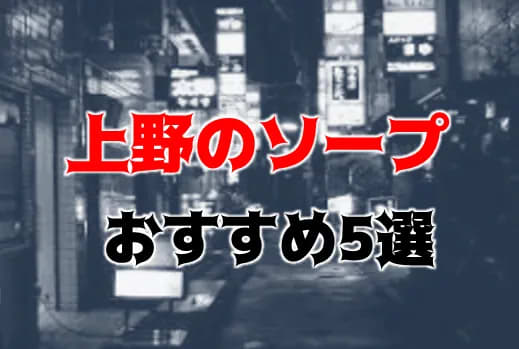 上野のおすすめソープ・人気ランキングTOP15【2024年最新】 | Onenight-Story[ワンナイトストーリー]