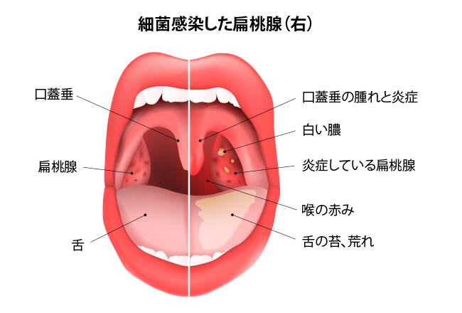 盛り上がりがたりたい！！#sjc #10 #彼氏が欲しくなる時期 #喉痛い @目黒.