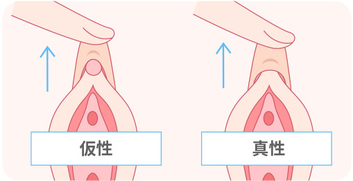 楽天市場】四十沢木材工芸 KITO 長木瓜盆