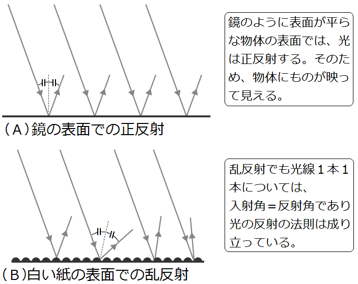 ROLLS2.0 瞬間収納傘 晴雨兼用