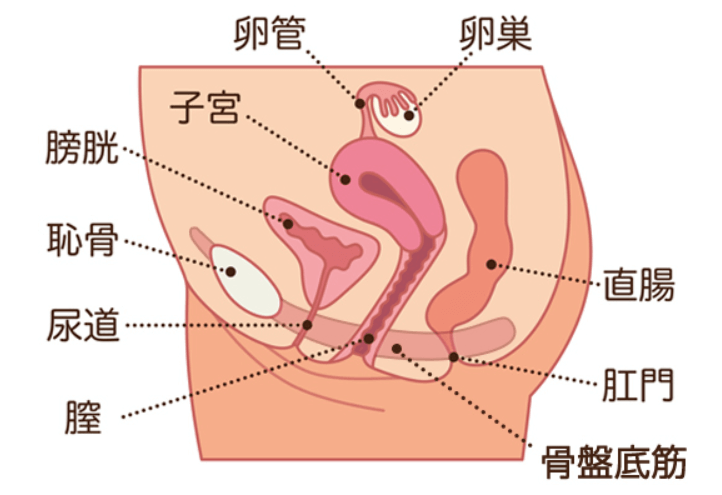 アイズ銀天町・福岡県福岡市博多区銀天町・雑餉隈徒歩4分