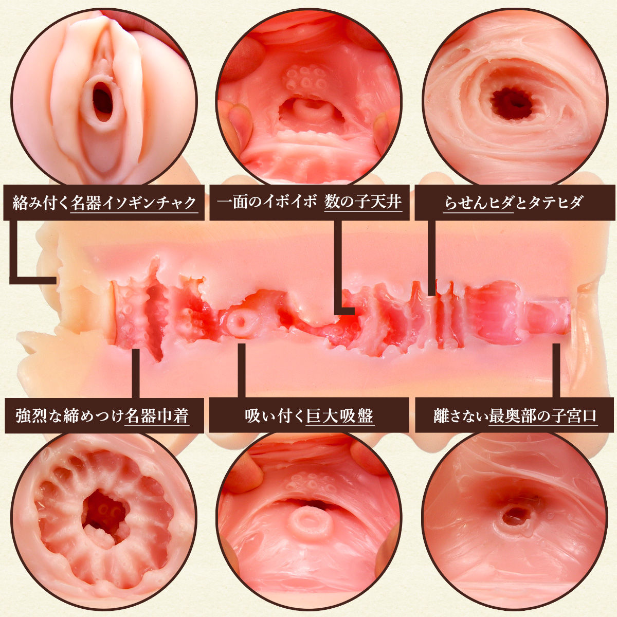 品切れ中 名器純情 松本いちか /