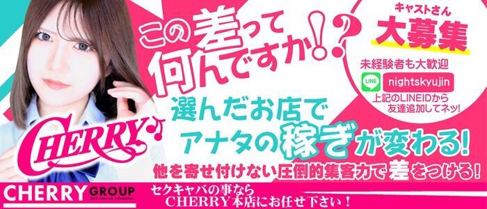 練馬区キャバクラ・ナイトワーク求人【ポケパラ体入】