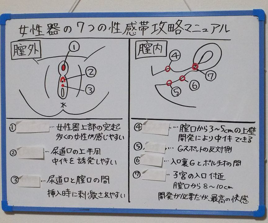 レッスンバイブ ポルチオ≪ポルチオ性感帯+クリトリスのW絶頂レッスン♪≫