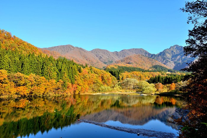 のがみプレジデントホテル | 福岡県飯塚市 |