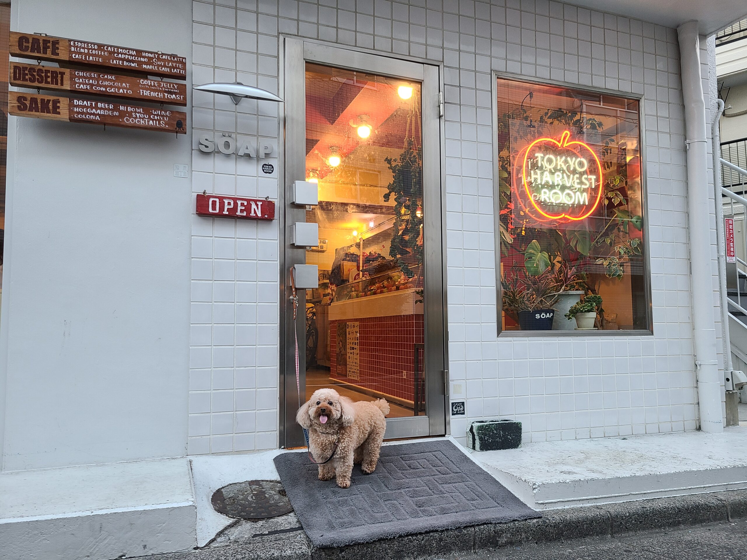 ハホニコ ラメラメトリートメント|モリオフロムロンドン 三軒茶屋 [MORIO FROM