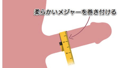 ちんこ測定器 (ちんこのながさをはかるもの)とは【ピクシブ百科事典】