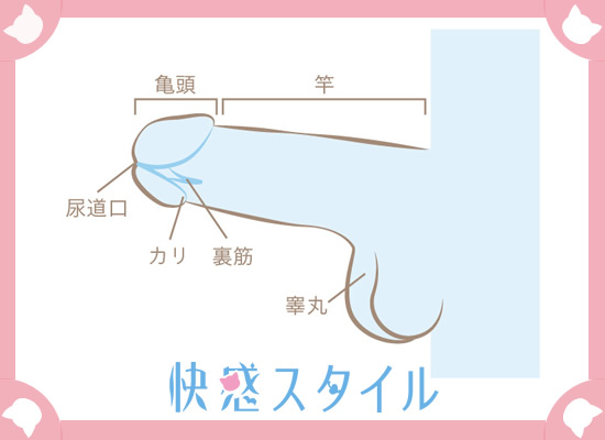 フェラのやり方がわからないあなたへ… 男を気持ちよくさせる舐め方を解説 | オトナのハウコレ