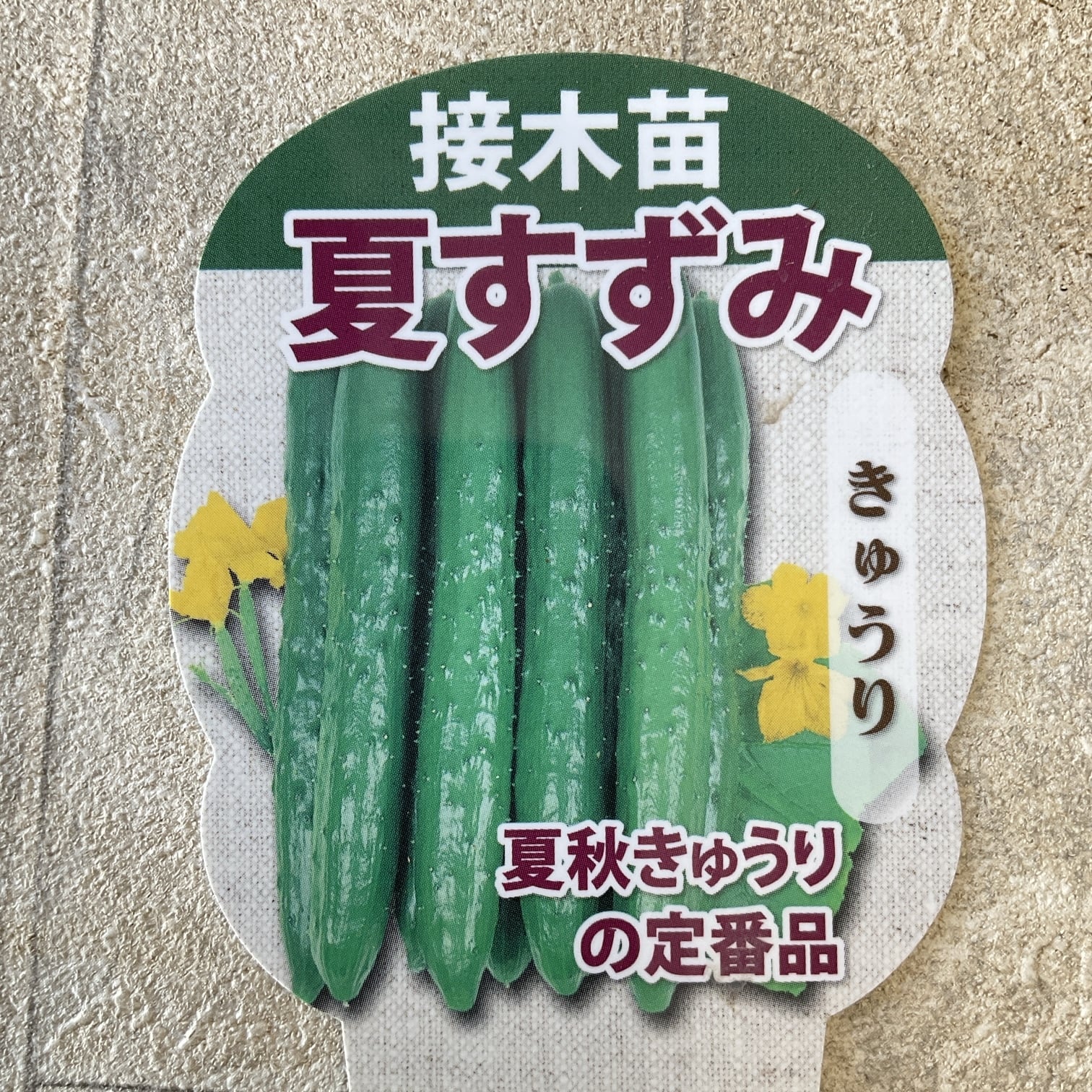 VR夏すずみ[胡瓜] - e-種や｜国内最大級の野菜種・花種・苗・農業資材の販売店