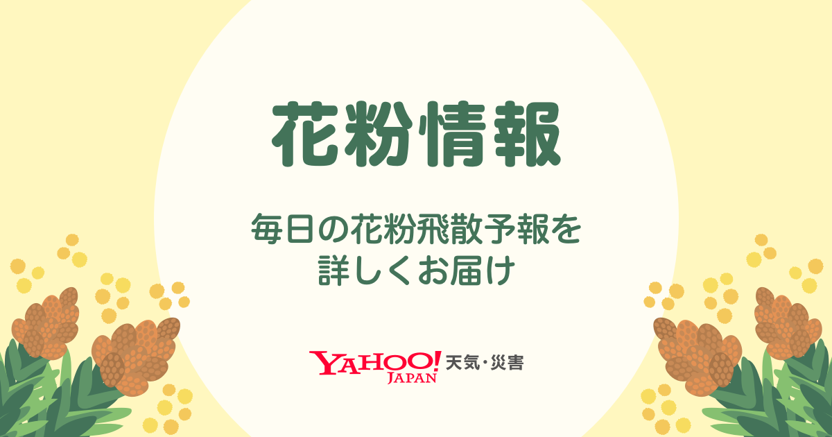 あさって4/20(水)の沼津は晴れ時々曇り予報。毎週水曜日に開催されてるランチマーケット。かのがわ風のテラス｜静岡新聞アットエス