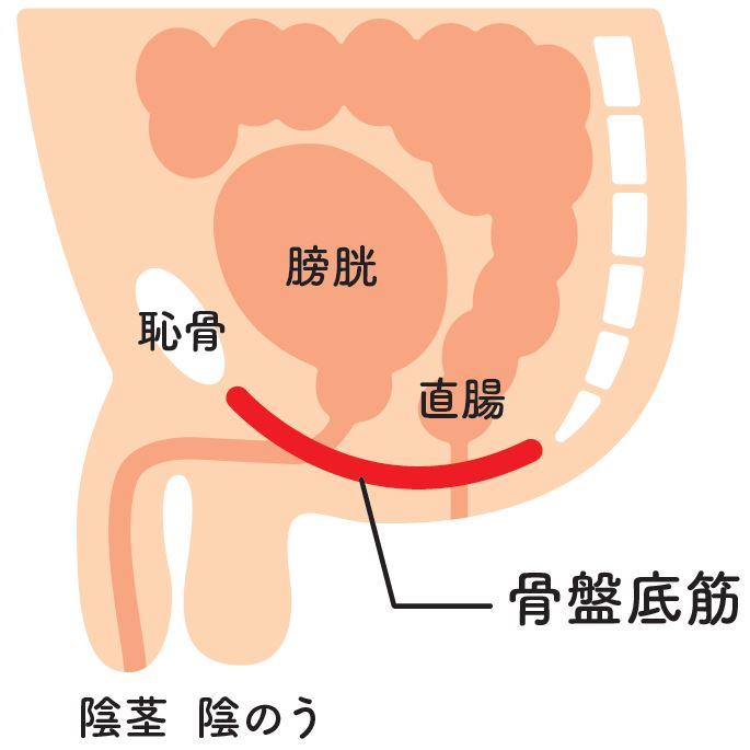 射精バカ一代・料金システム